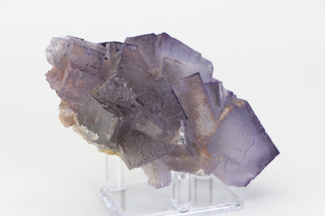 Balochistan Fluorite TZ231