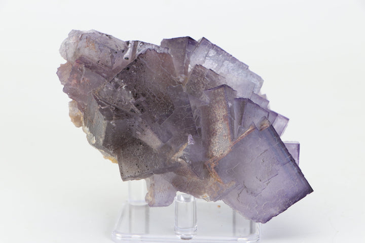 Balochistan Fluorite TZ231