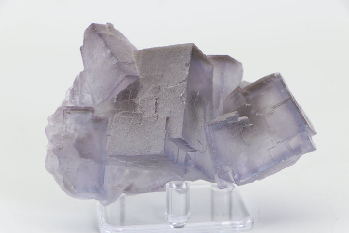 Balochistan Fluorite TZ237