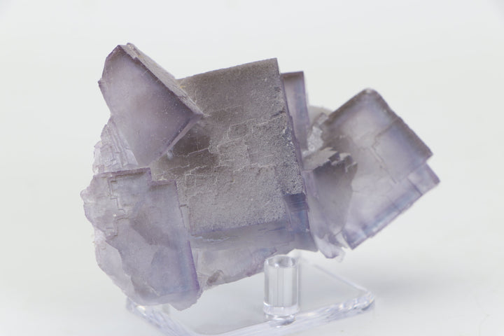 Balochistan Fluorite TZ237