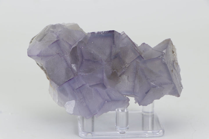 Balochistan Fluorite TZ243