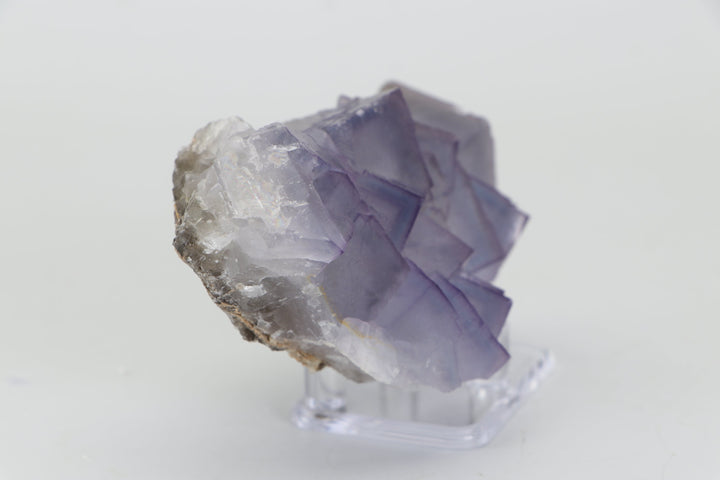 Balochistan Fluorite TZ243