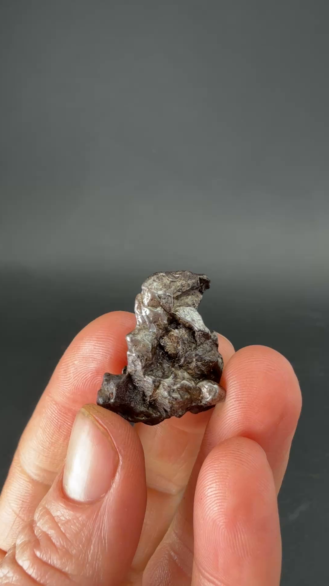 16.8 gram Sikhote-Alin Meteorite TZ565