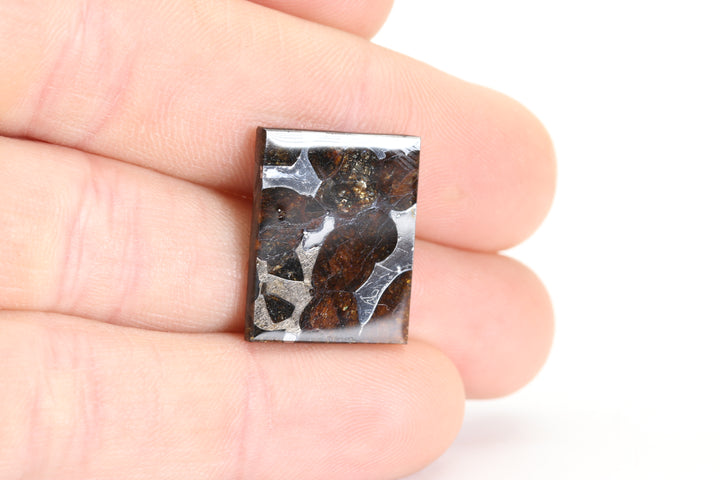 3.8 gram Brahin Meteorite Slab TZ99