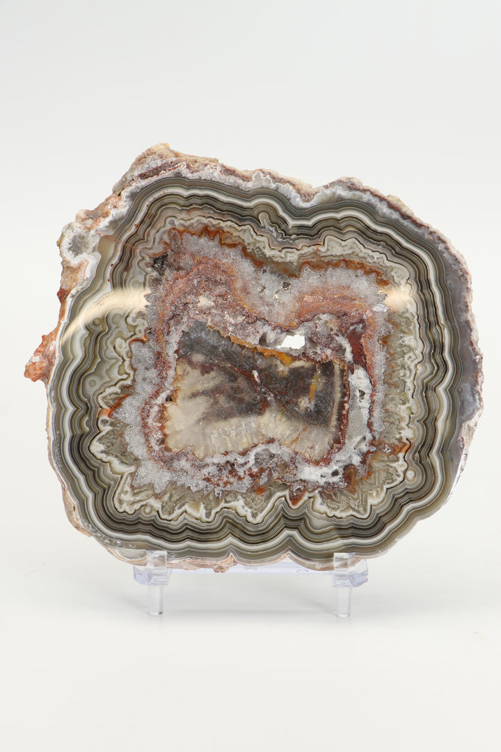 Crazy Lace Agate Slab DS1018