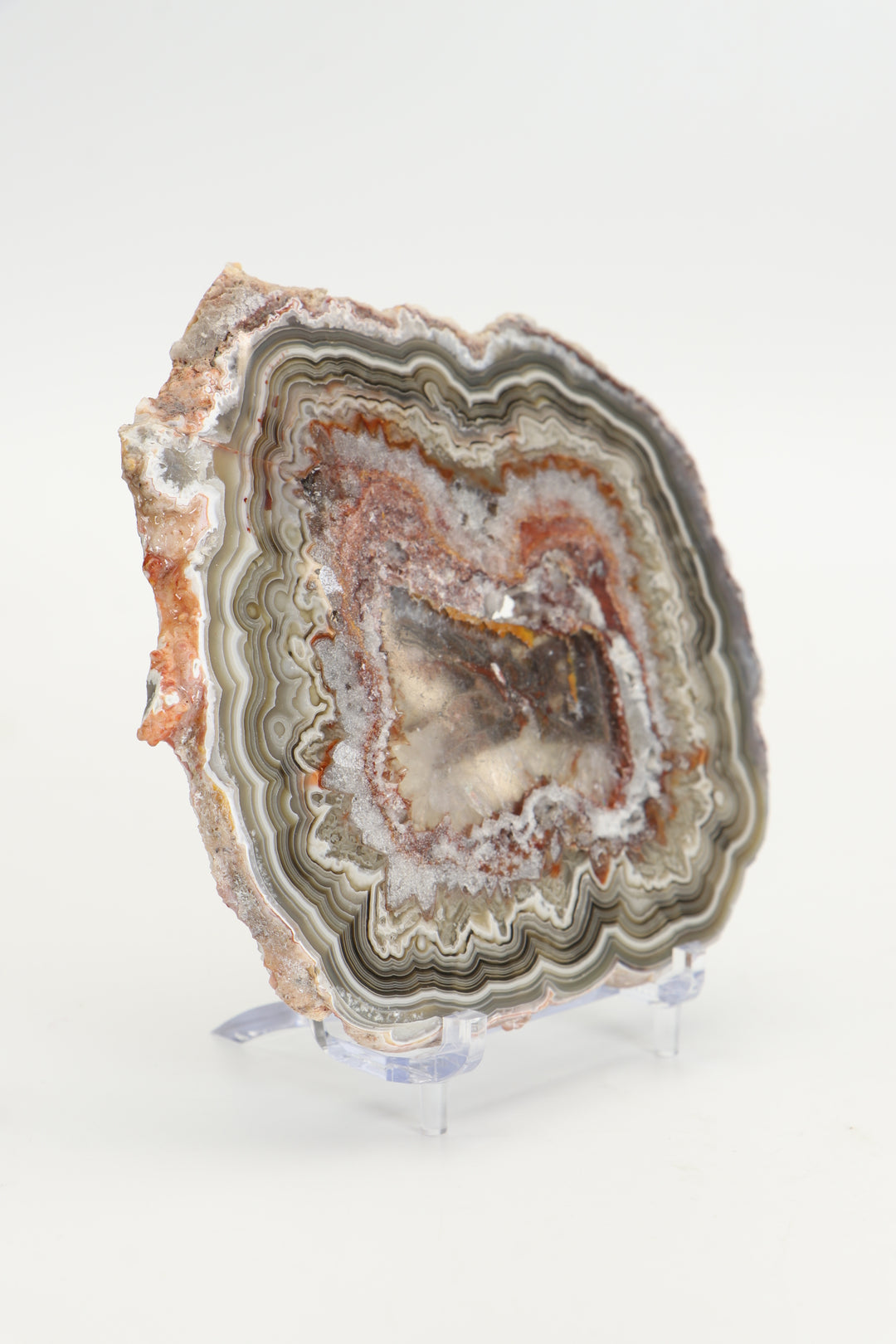 Crazy Lace Agate Slab DS1018