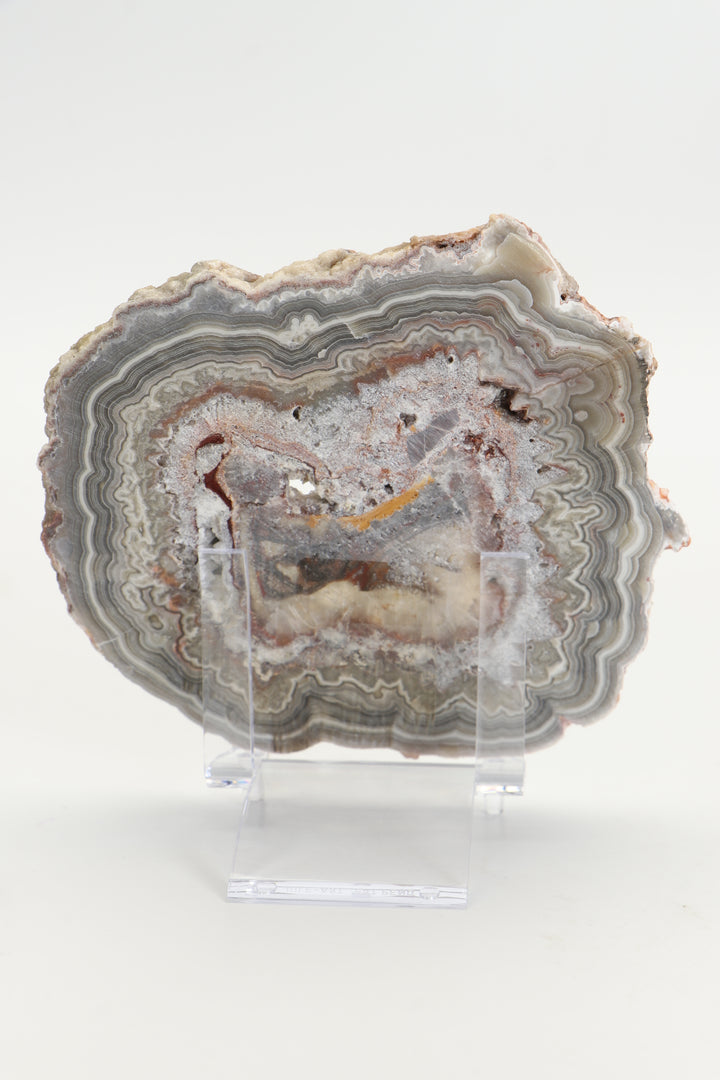 Crazy Lace Agate Slab DS1018