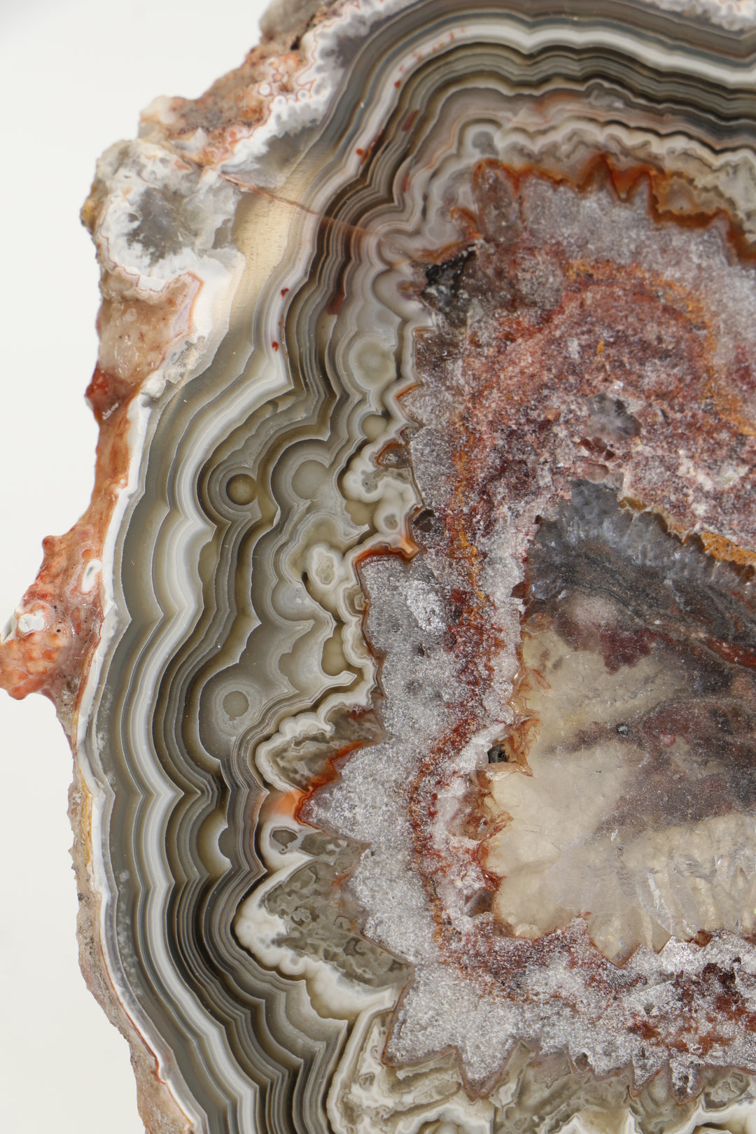 Crazy Lace Agate Slab DS1018