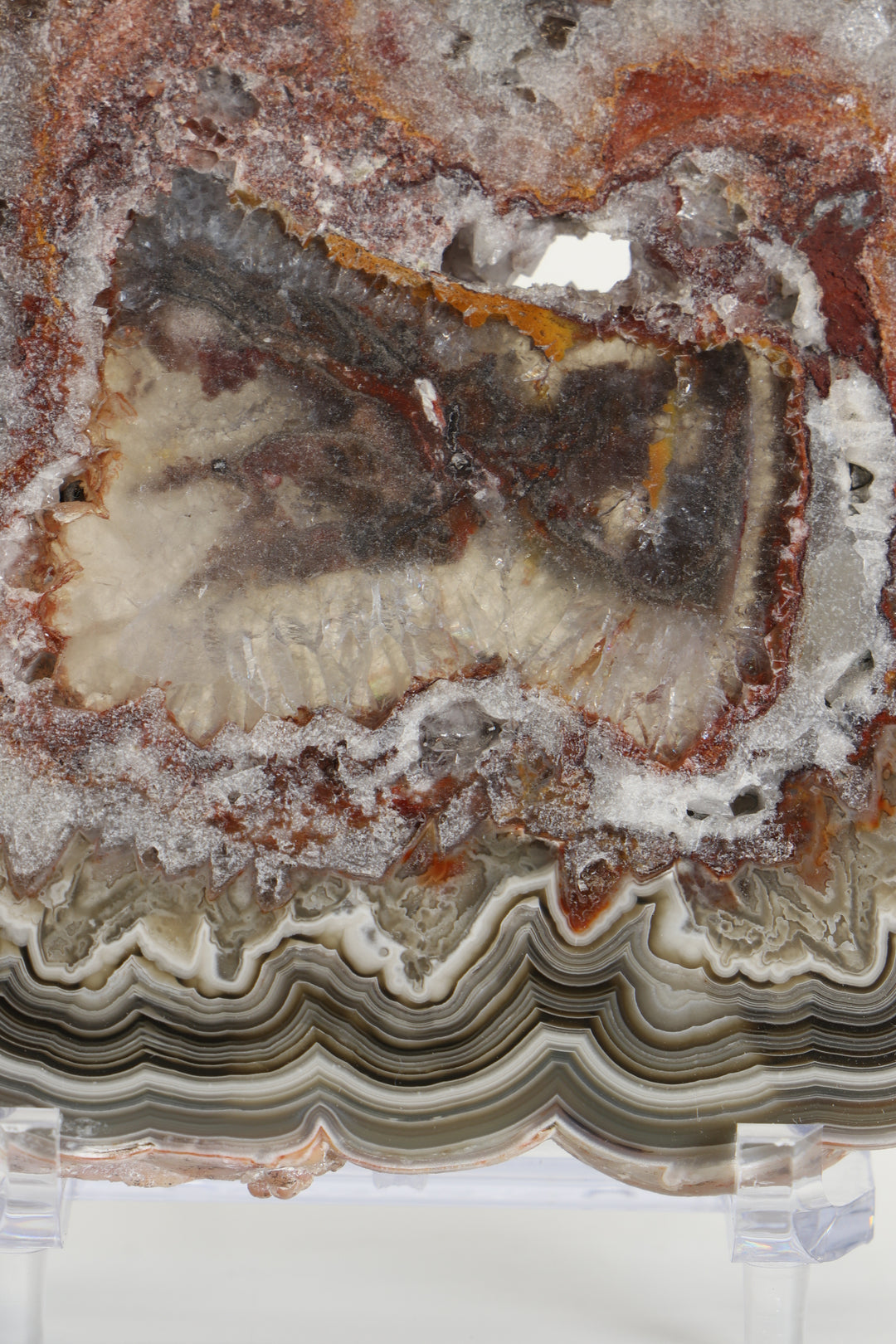 Crazy Lace Agate Slab DS1018