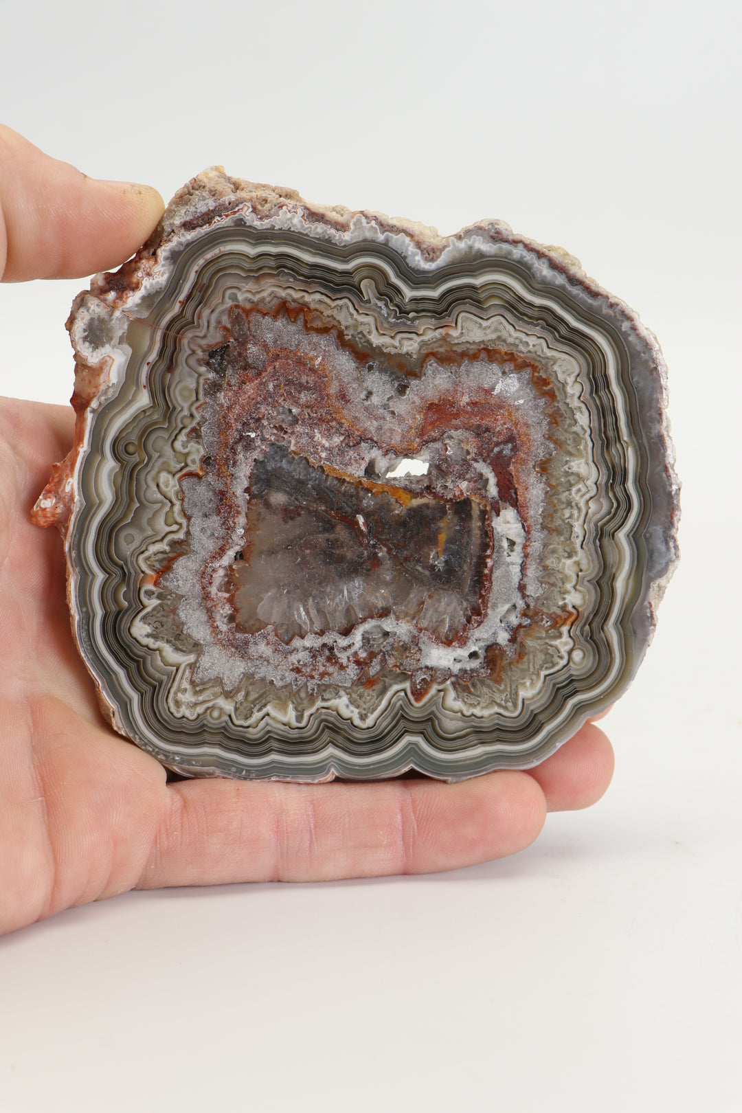 Crazy Lace Agate Slab DS1018