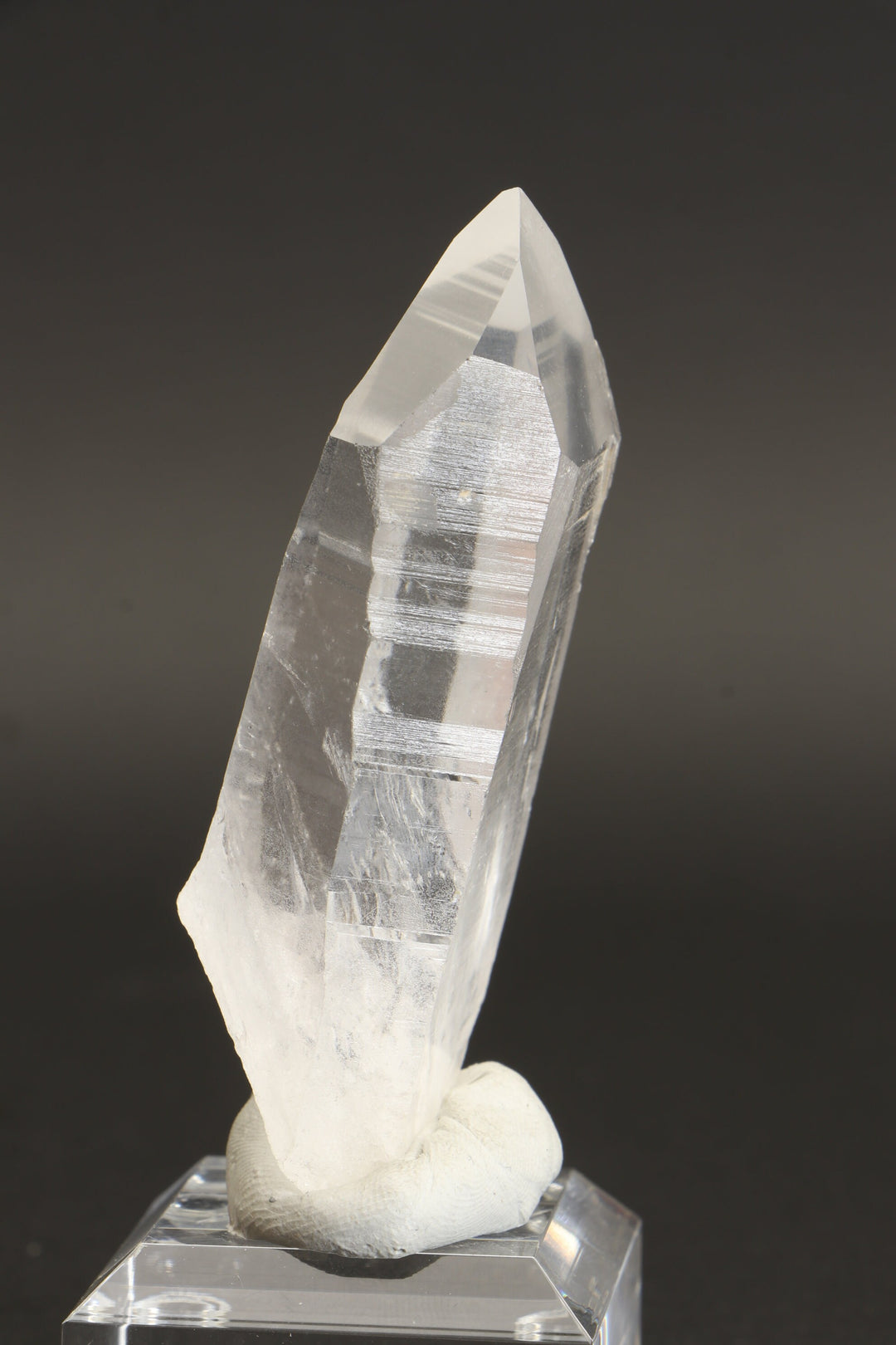 3" Lemurian Seed Crystal DD298