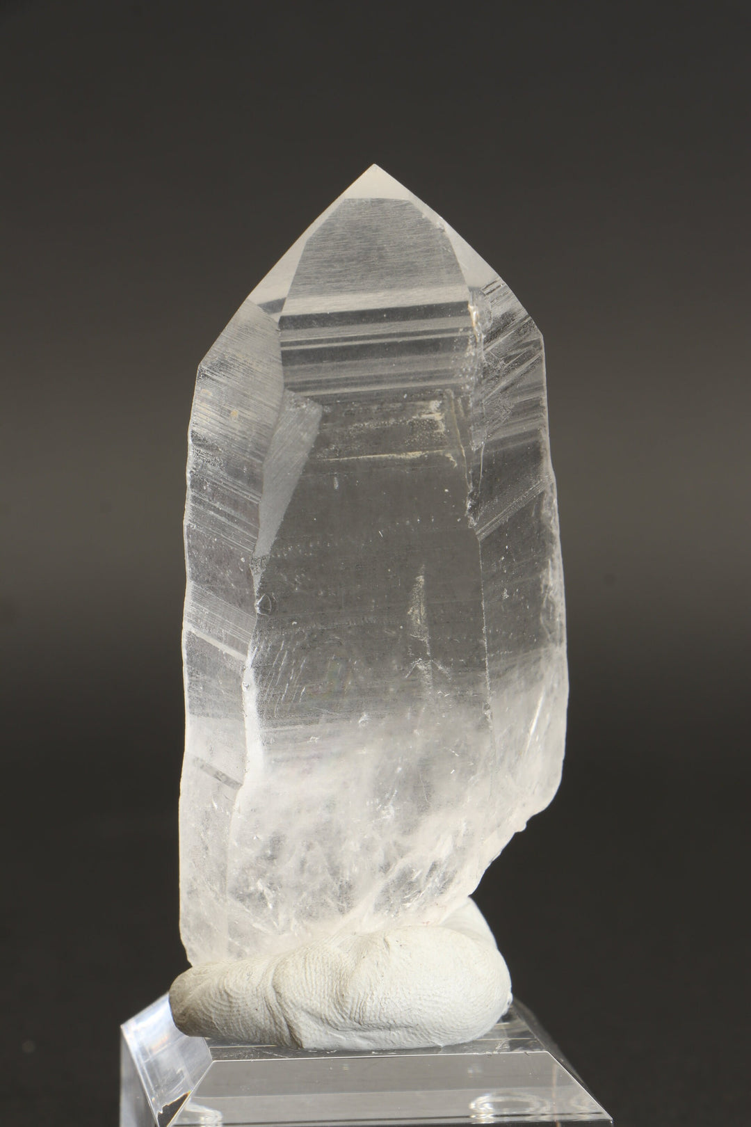 3" Lemurian Seed Crystal DD298