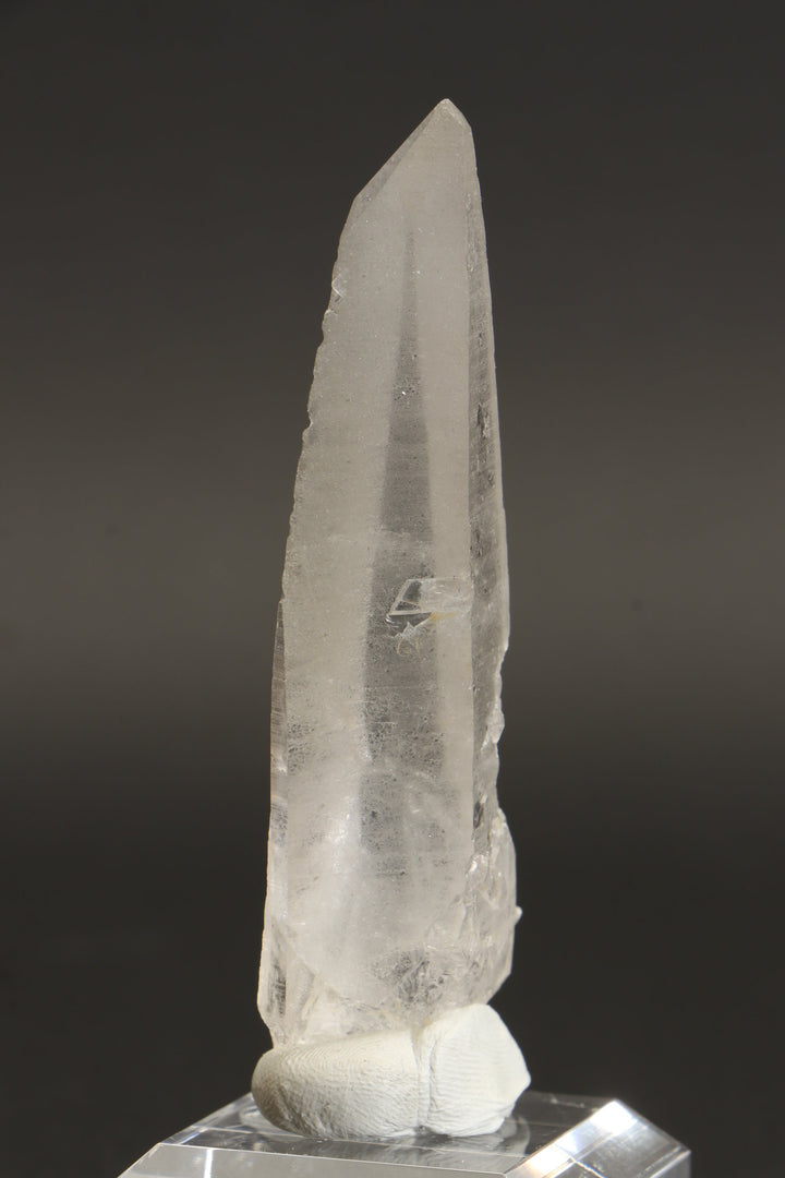 3.5" Lemurian Seed Crystal DA1350