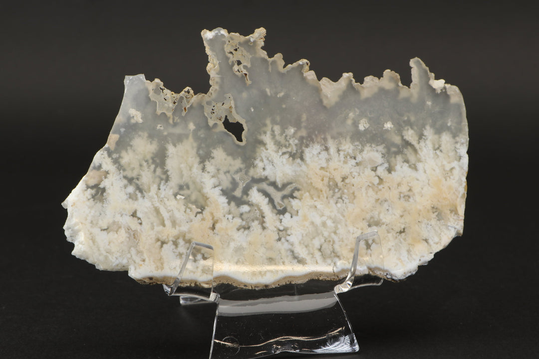 Nydegger Plume Agate Slab DX3493