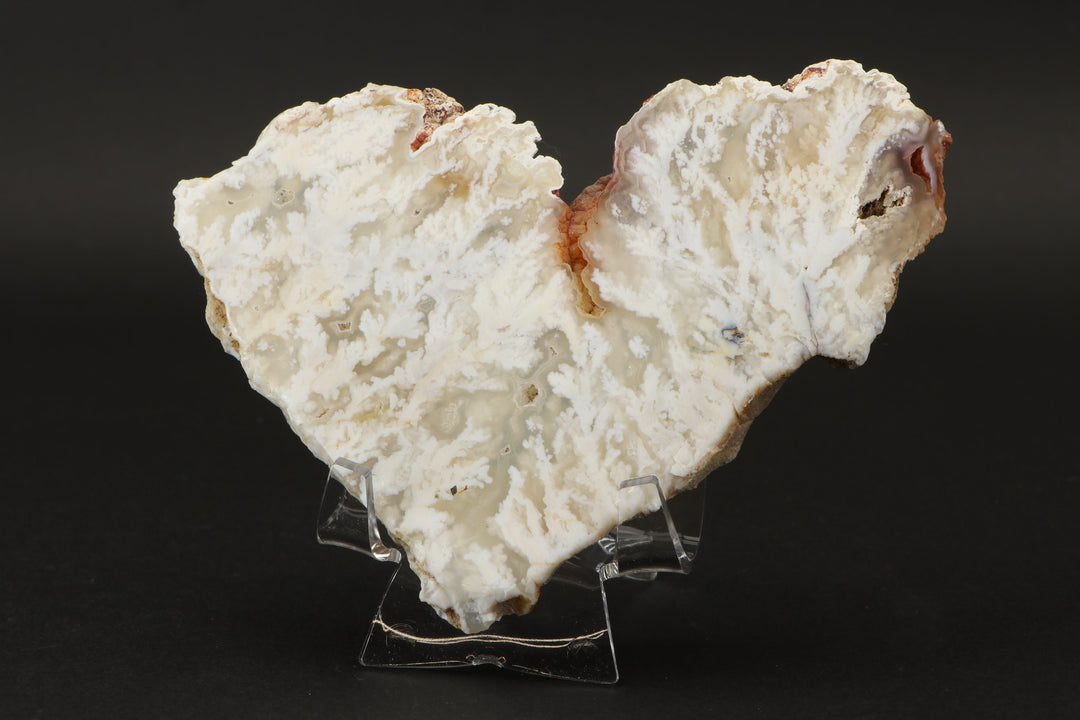 Nydegger Plume Agate Slab DX3494