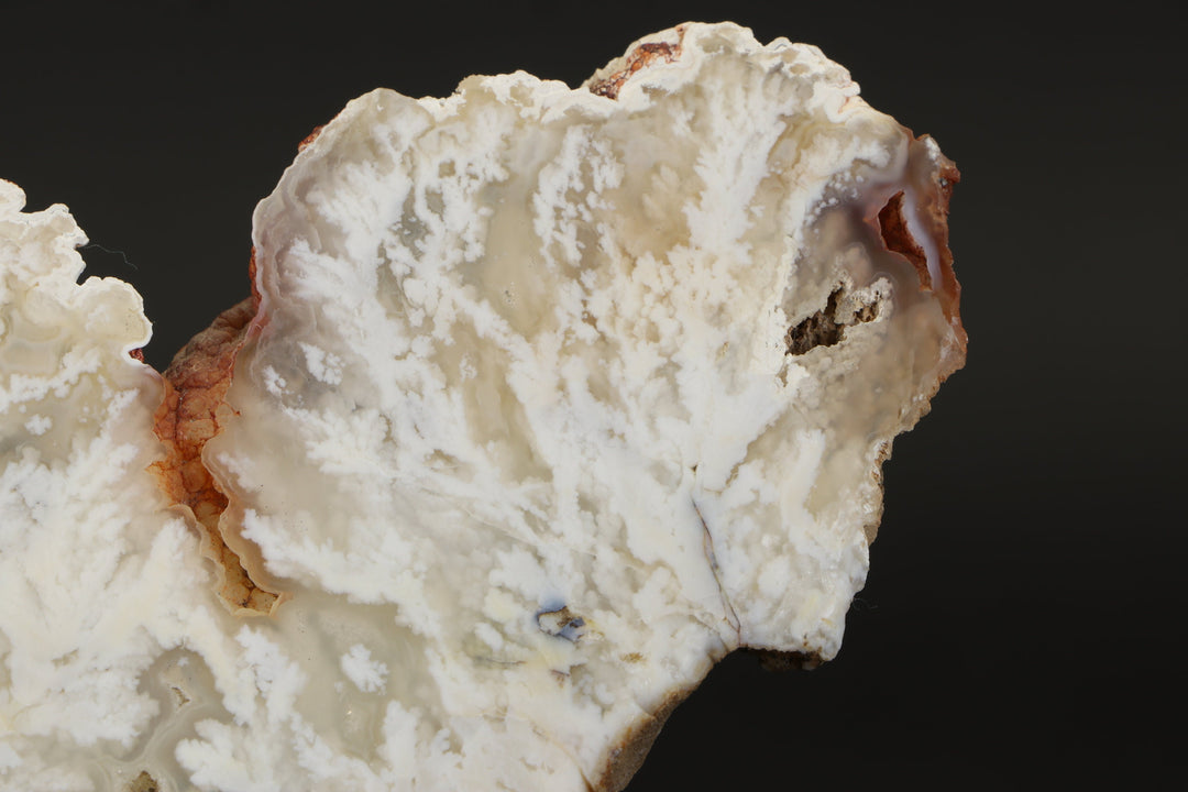 Nydegger Plume Agate Slab DX3494