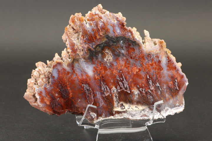 Sicat Plume Agate Slab from Cady Mountain DX2109