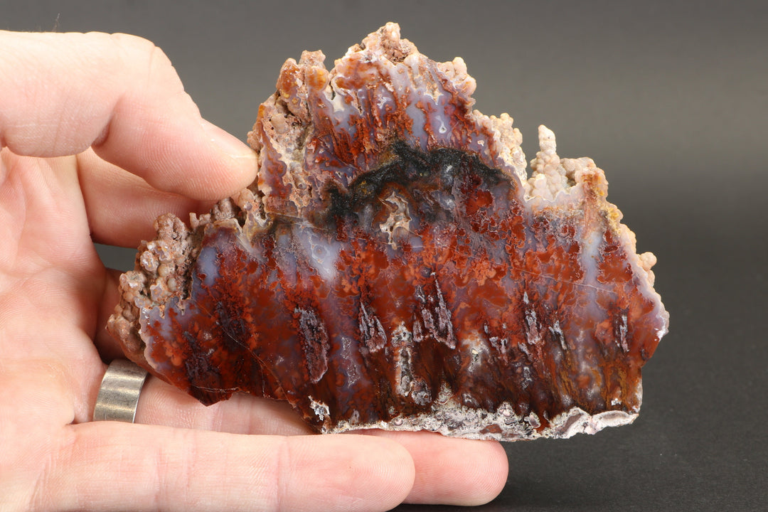 Sicat Plume Agate Slab from Cady Mountain DX2109