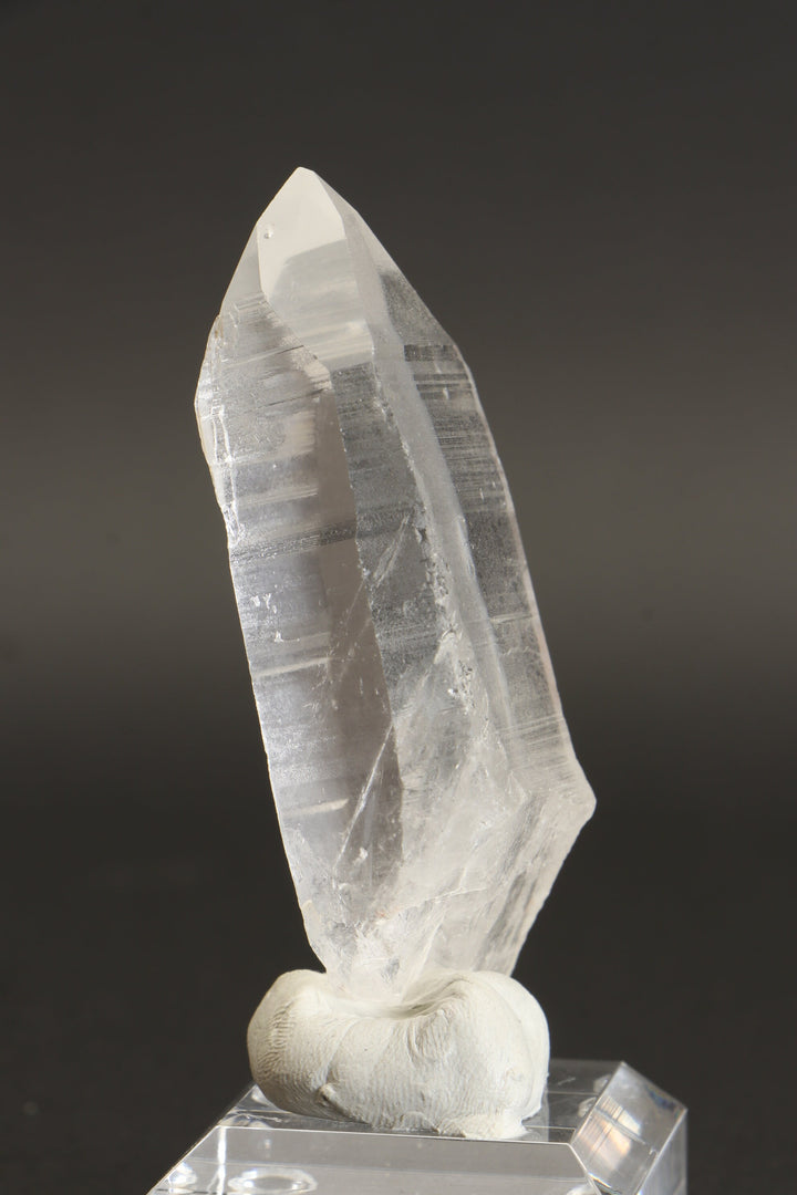 3" Lemurian Seed Crystal DD298