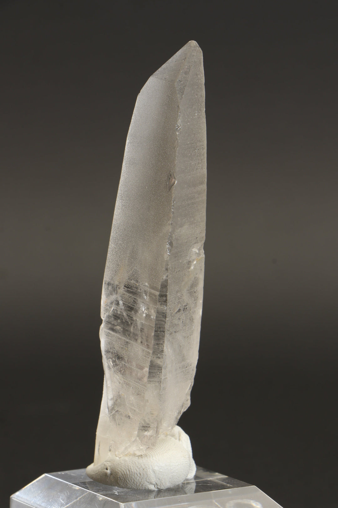 3.5" Lemurian Seed Crystal DA1350