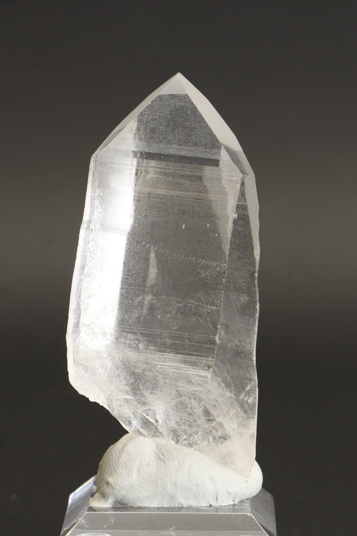 3" Lemurian Seed Crystal DD298