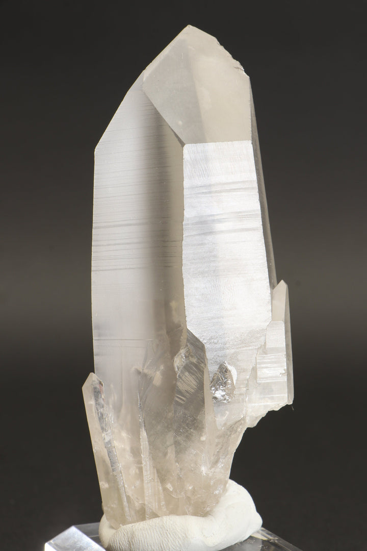 4.5" Lemurian Seed Crystal TV1091