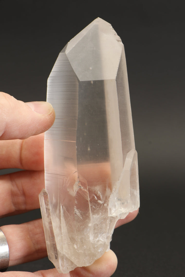 4.5" Lemurian Seed Crystal TV1091