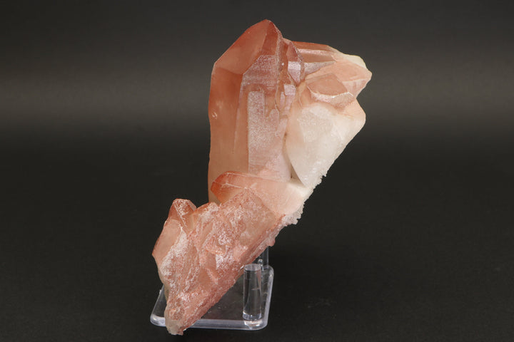 6" Scarlet Temple Lemurian Crystal Cluster DN146