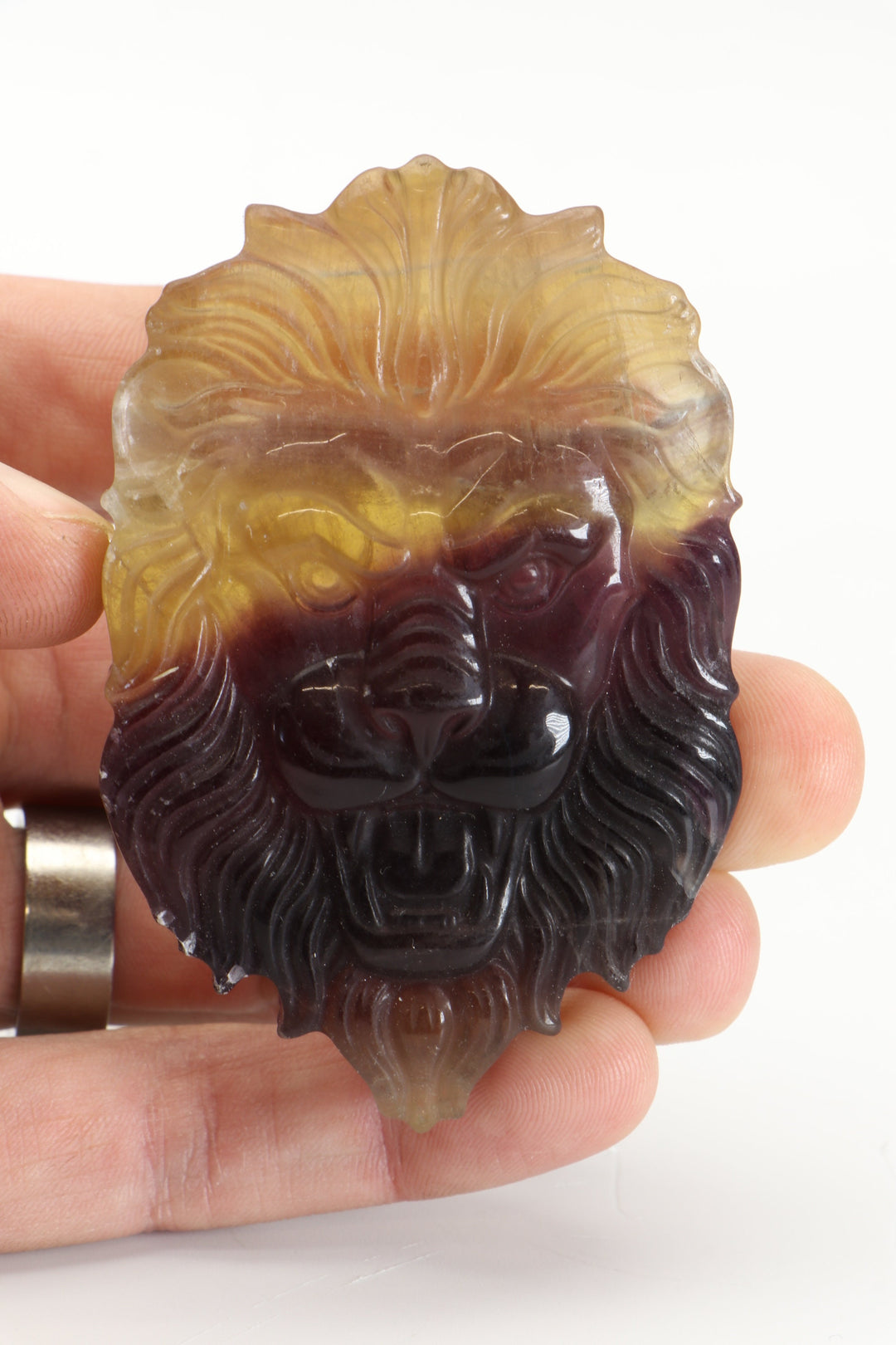 Fluorite Lion Carving DM477