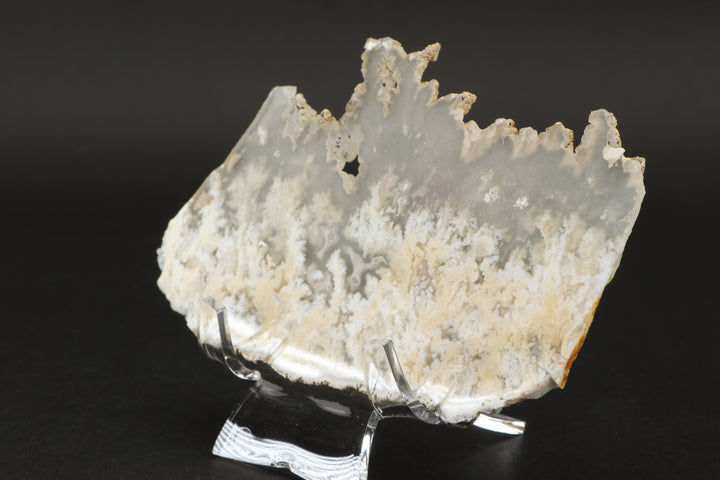 Nydegger Plume Agate Slab DX3493