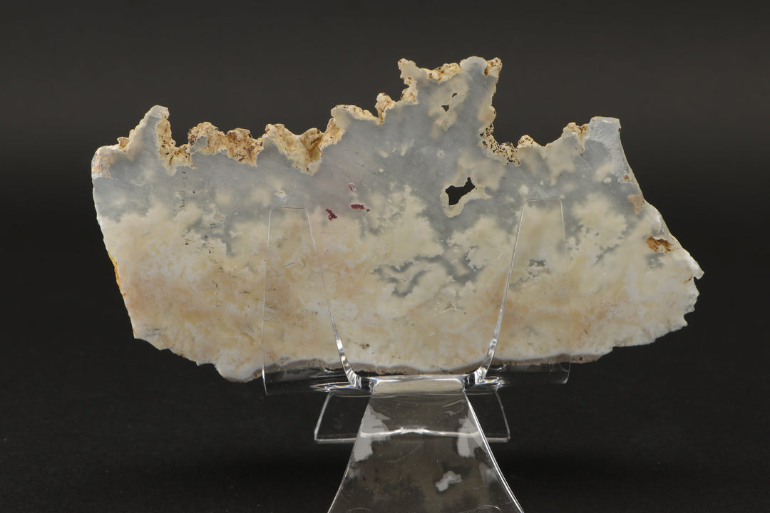 Nydegger Plume Agate Slab DX3493