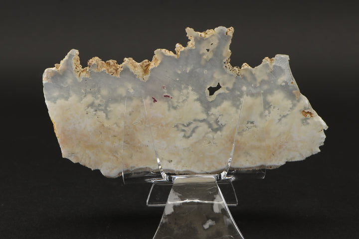 Nydegger Plume Agate Slab DX3493