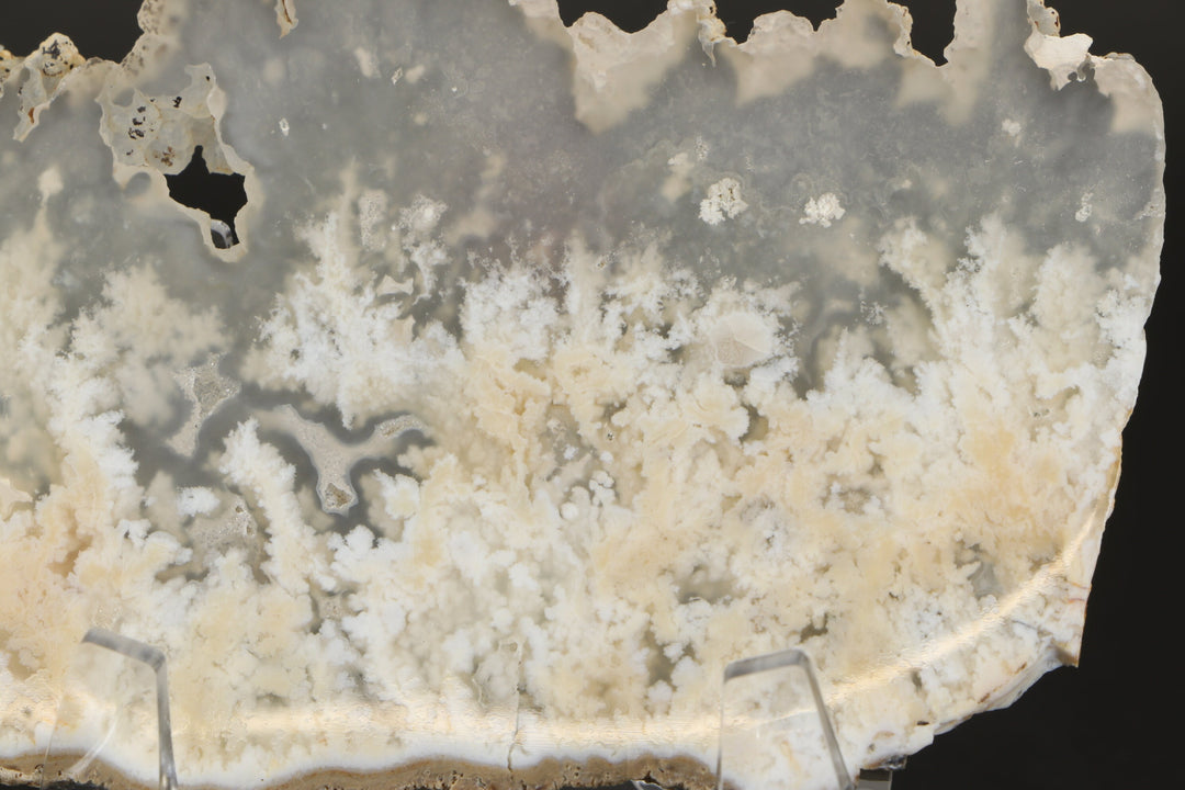 Nydegger Plume Agate Slab DX3493