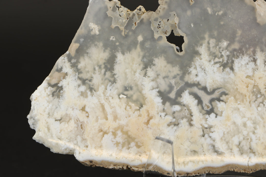 Nydegger Plume Agate Slab DX3493