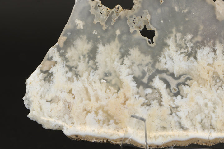 Nydegger Plume Agate Slab DX3493