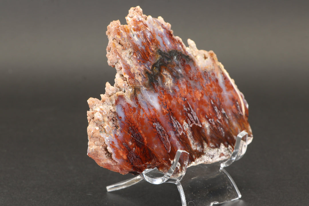 Sicat Plume Agate Slab from Cady Mountain DX2109