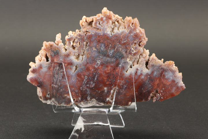 Sicat Plume Agate Slab from Cady Mountain DX2109