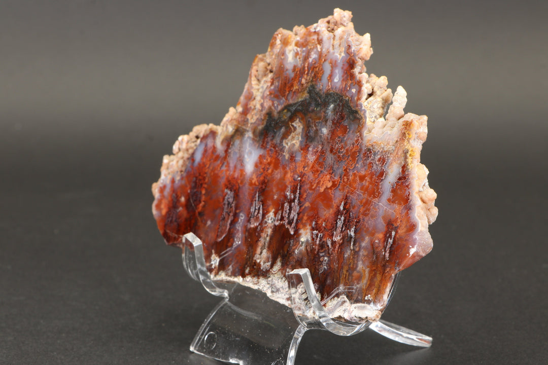 Sicat Plume Agate Slab from Cady Mountain DX2109