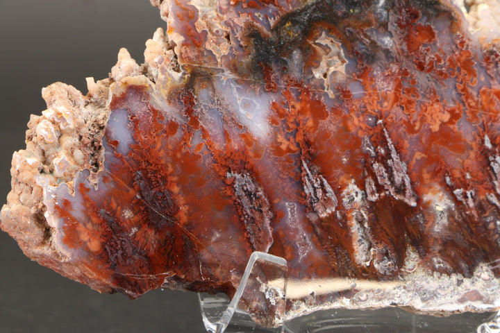 Sicat Plume Agate Slab from Cady Mountain DX2109