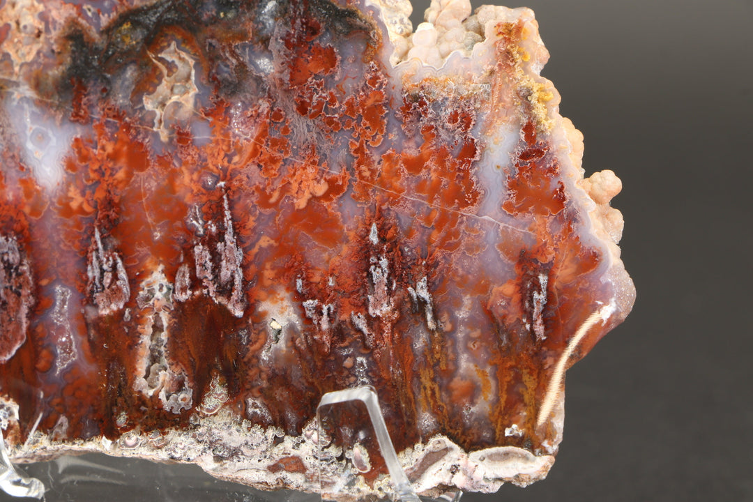 Sicat Plume Agate Slab from Cady Mountain DX2109