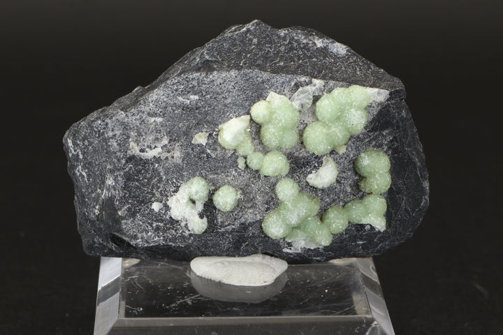 Wavellite Specimen - Yoda Pocket, Arkansas TD3308