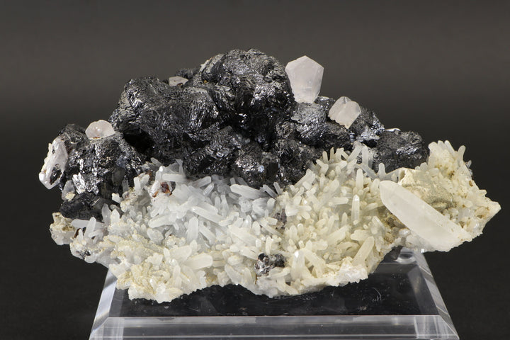 Sphalerite with Calcite and Quartz Specimen - Bor Mine, Dalnegorsk DX1114