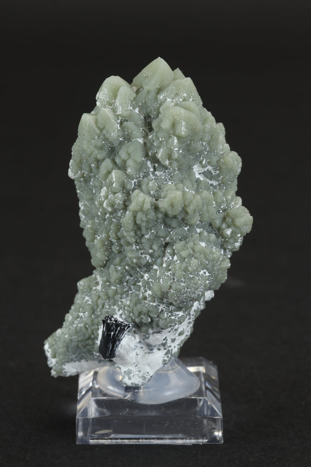 Prase Quartz from Dalnegorsk, Russia TD1165