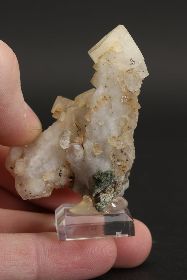 Quartz Scepter Specimen from Bor Mine DM709