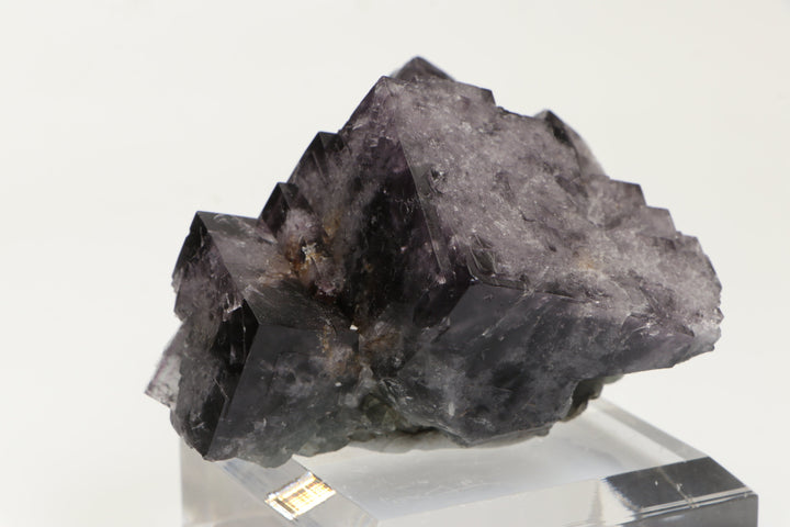 Purple Fluorite Specimen - Lady Annabella Mine TD2075