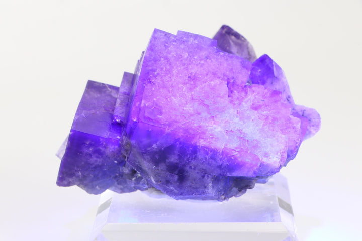 Purple Fluorite Specimen - Lady Annabella Mine TD2075