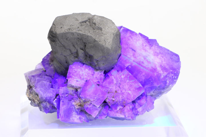 Purple Fluorite with Galena Specimen - Lady Annabella Mine DX1141