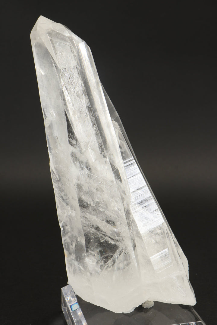 7" Tantric Twin Colombian Lemurian Crystal TC1707