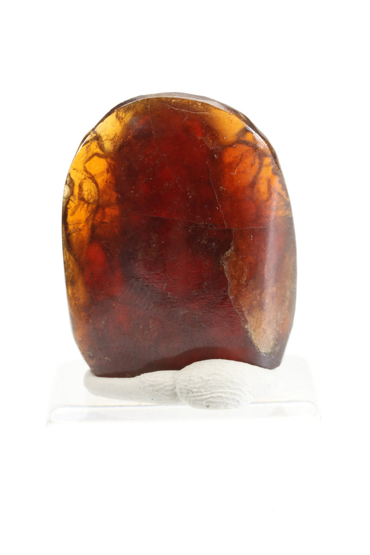 Hessonite Garnet Ganesha Carving DX2981