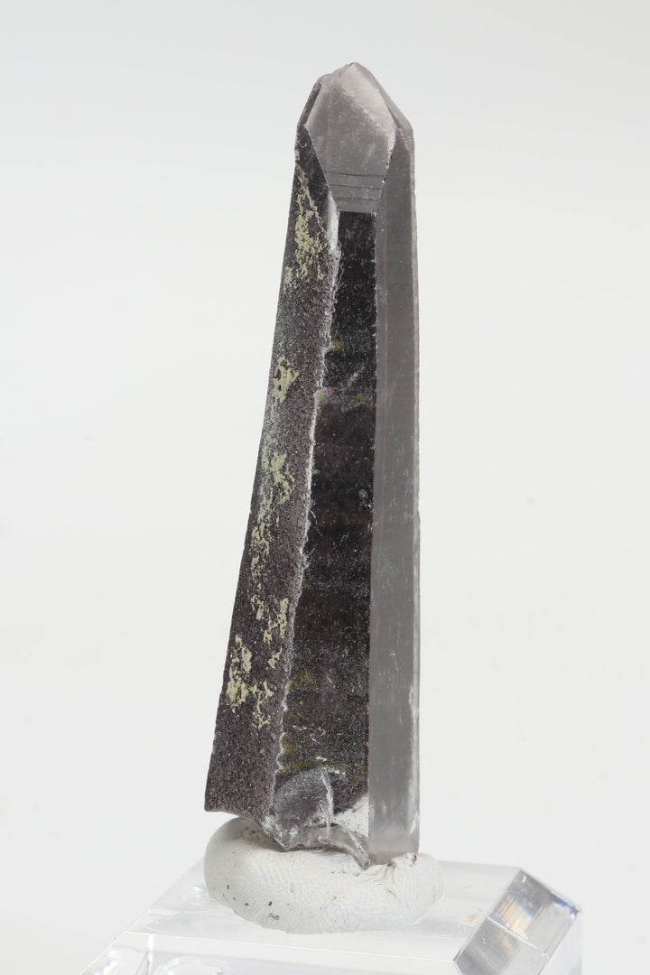 3" Hematite Coated Quartz Point from Pamir Mountains, Afghanistan TZ482